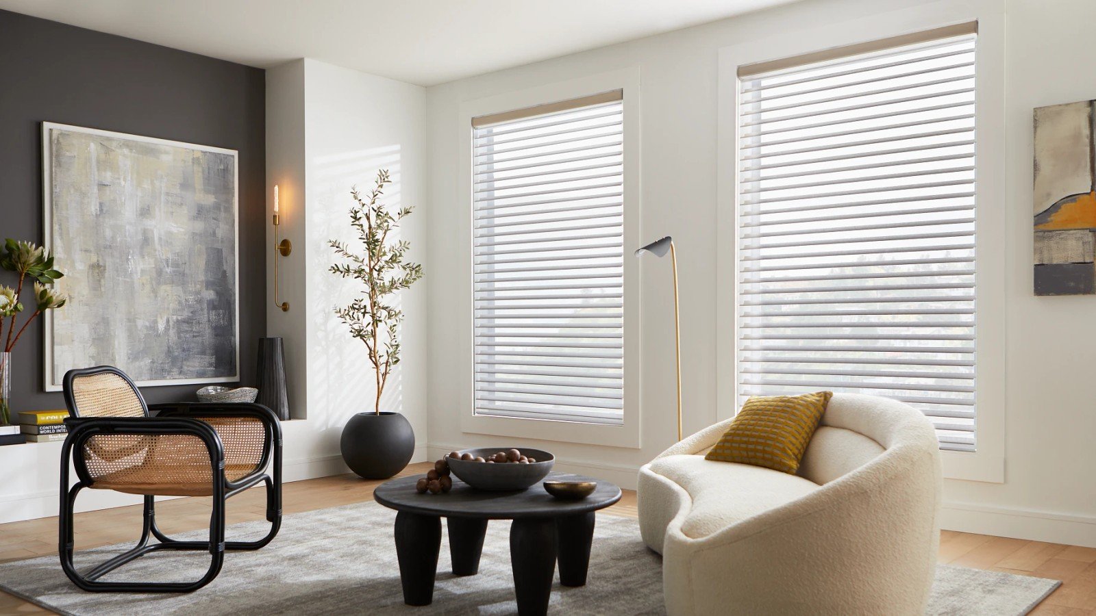 Sheer shadings living room phoenix az - Pearl & Co Sheer shadings in a modern Phoenix AZ living room