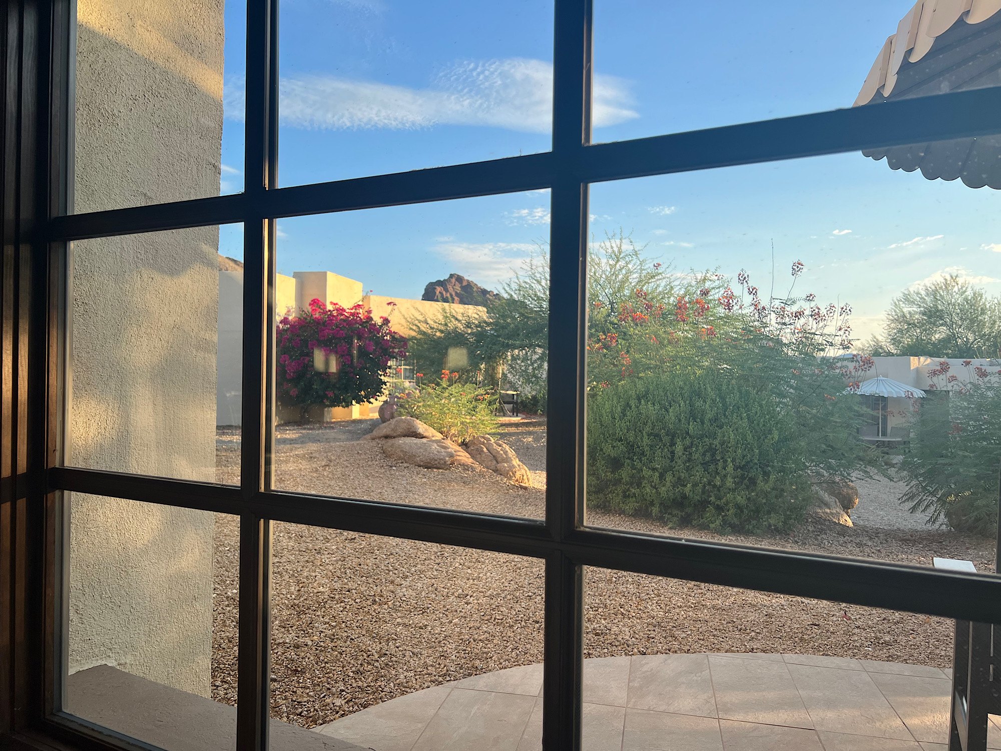 arizona-desert-garden-window-view - Pearl & Co Desert garden with flowering shrubs seen through a large window