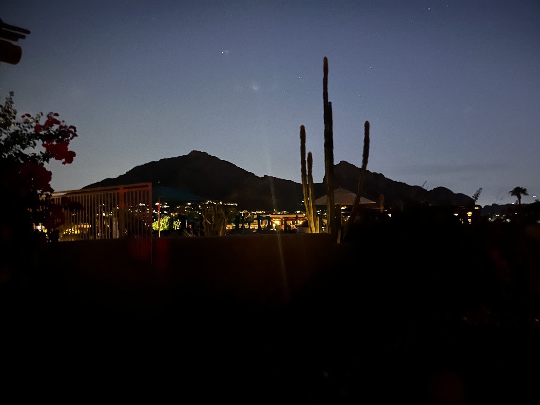 arizona-night-saguaro - Pearl & Co Saguaro cactus and mountain outlined against the Arizona night sky