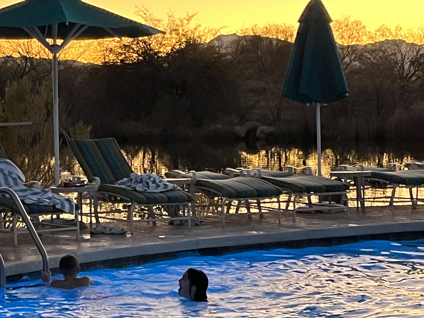 arizona-pool-patio-sunset - Pearl & Co Arizona backyard pool and patio loungers at sunset
